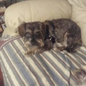 Meet your Posher, Louise